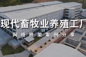 凤图网格桥架案例分享-现代畜牧业养殖工厂